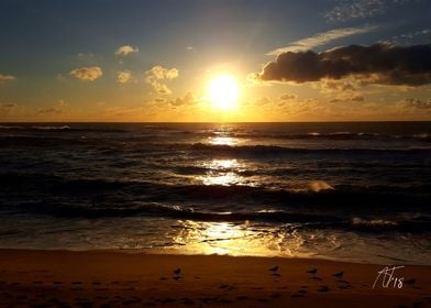 Photography-preview-3