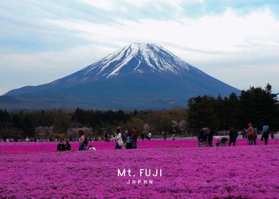 Mount Fuji-preview-3