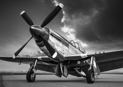 P-51 Mustang Aircraft Poster WWII Fighter Plane P-51 Mustang
