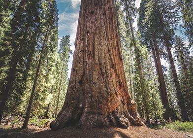 Usa Adventures-preview-0