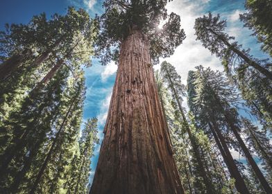 Usa Adventures-preview-2