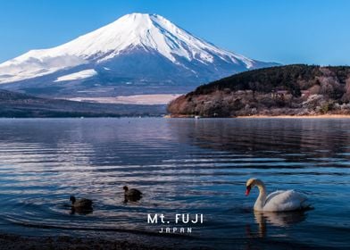 Mount Fuji-preview-2