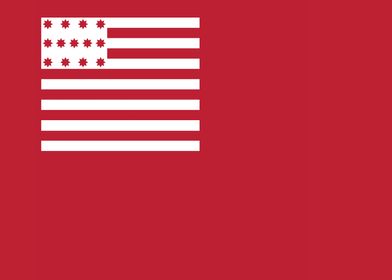 Us Flags And Symbols-preview-2