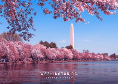 Washington Dc-preview-2