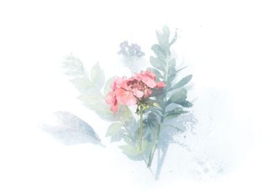 Floral Images And Pictures-preview-0