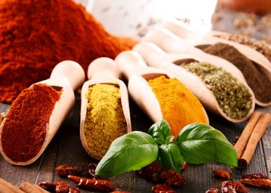 Spices Art-preview-1