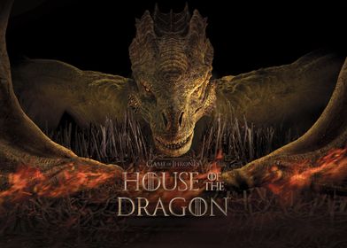 House Of The Dragon by largo-store  Nightmare before christmas wallpaper,  Game of thrones drawings, House of dragons