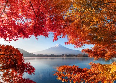 Autumn Nature Landscape-preview-2