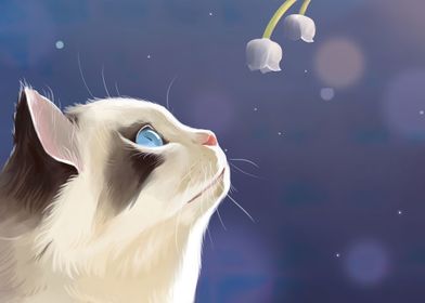 Cats-preview-2