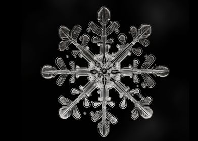 Silver Snowflakes 4 Poster Print by Melody Hogan - Item # VARPDXMHSQ233D -  Posterazzi