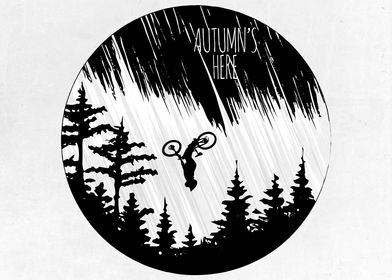 Bicycle And Bike 2024-preview-0