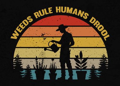 Vintage Vibes-preview-2