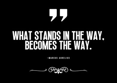 Stoic Quotes-preview-1