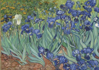 Van Gogh Masterpiece-preview-2