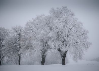 Landscape Photography By Albrecht-preview-0