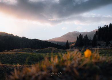 Landscape Photography By Albrecht-preview-2