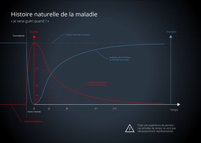 Infographies En Francais-preview-1