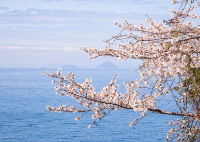 Iconic Japan-preview-2