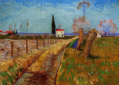 Vincent Van Gogh-preview-3