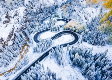 Green Paradise-preview-0