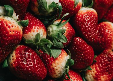 Top New 8K 4K Pro-preview-3