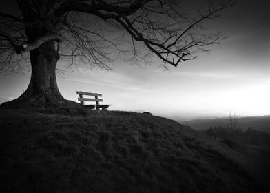 4K 8K 12K Art News-preview-1