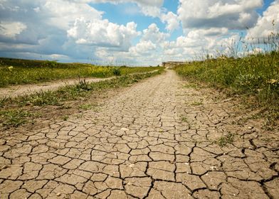 4K 8K New Lol Arts-preview-0