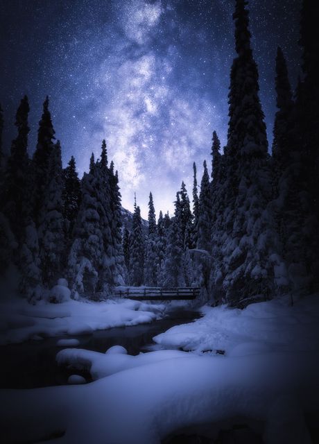 'Magical Night' Poster by Conceptual Photography | Displate