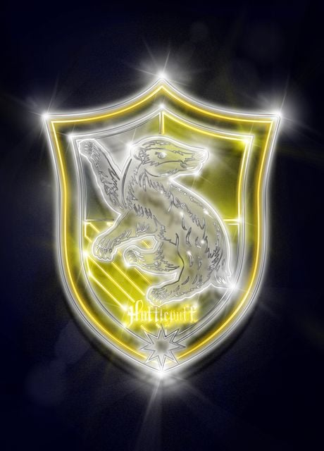 Hufflepuff Neon Emblem Poster By Wizarding World Displate 2069