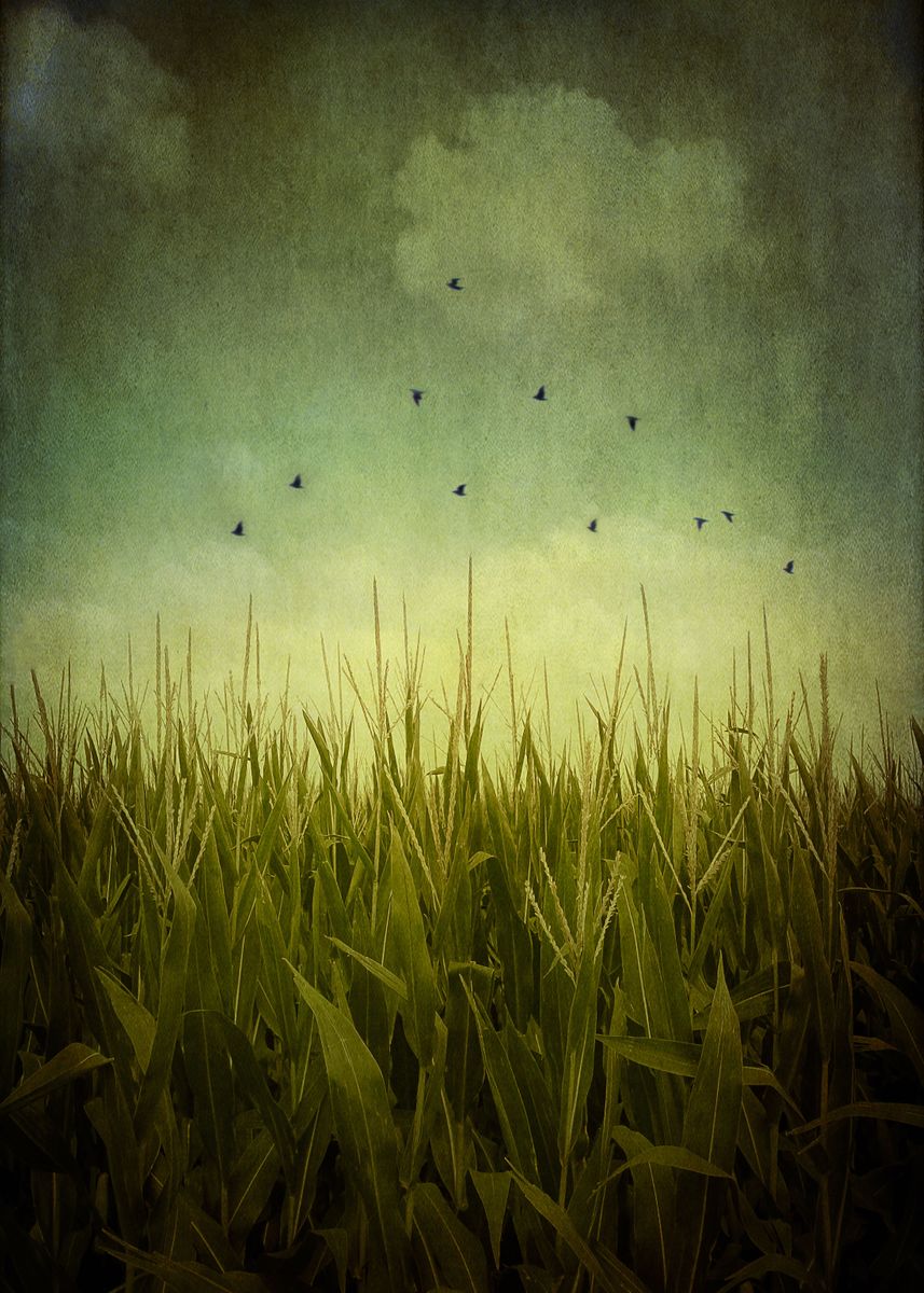 'In the Field...' Poster by Trish Mistric | Displate