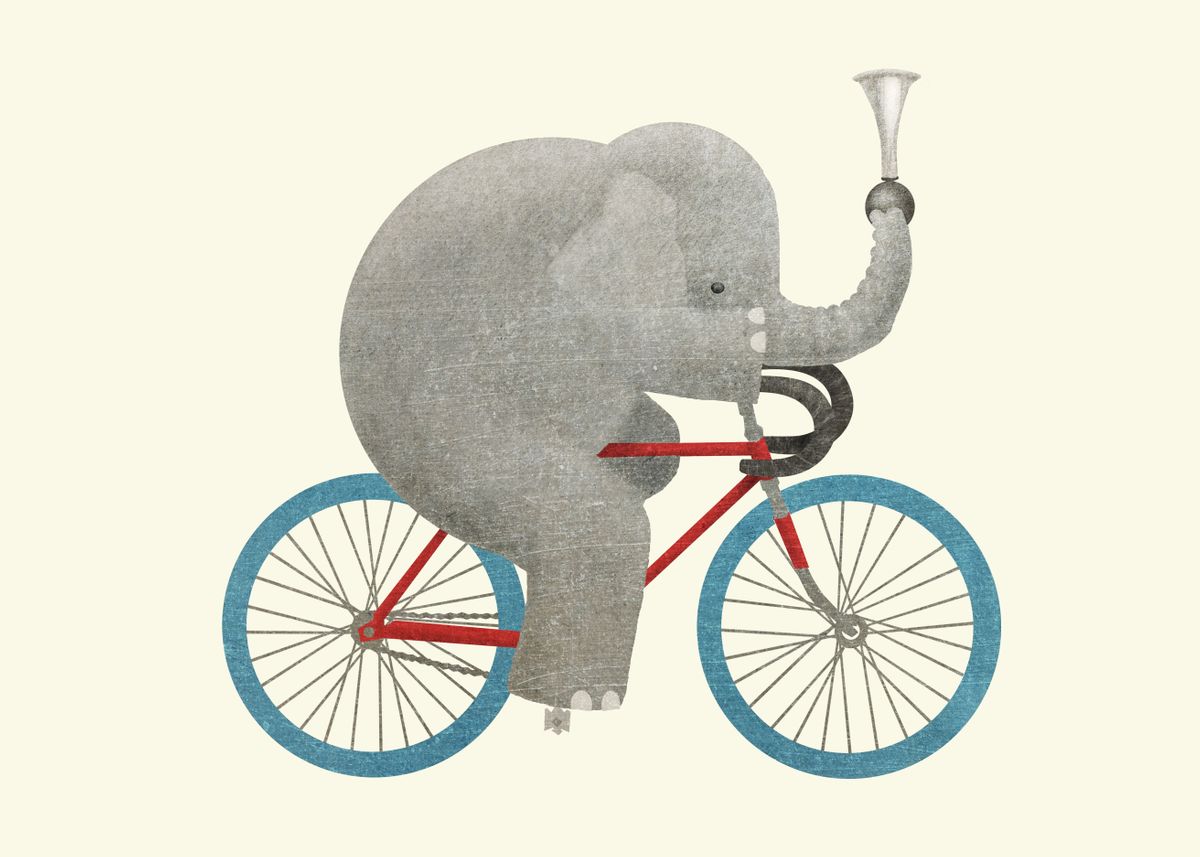Cycling animals. Слон на велосипеде. Животные на велосипеде. Рисунки животных на велосипеде.