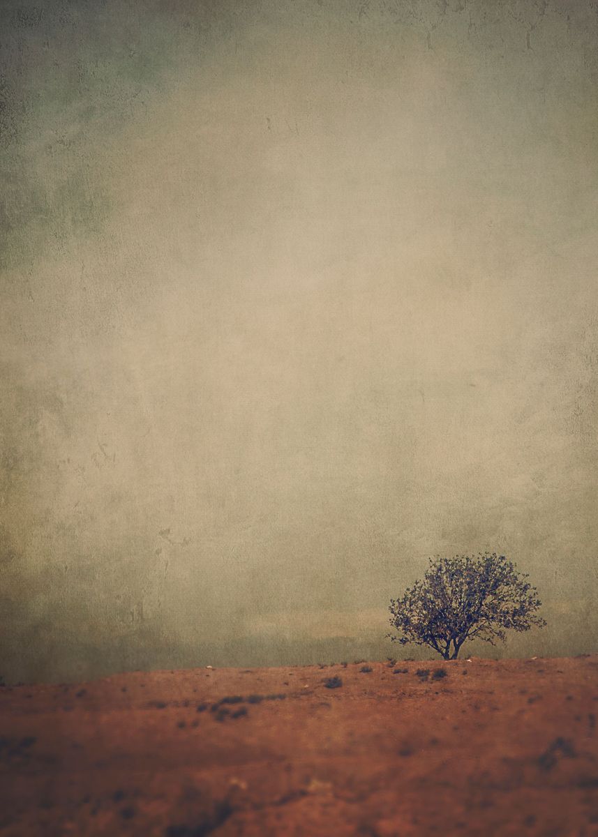 'Solitude' Poster by Katayoon Ahmadi | Displate