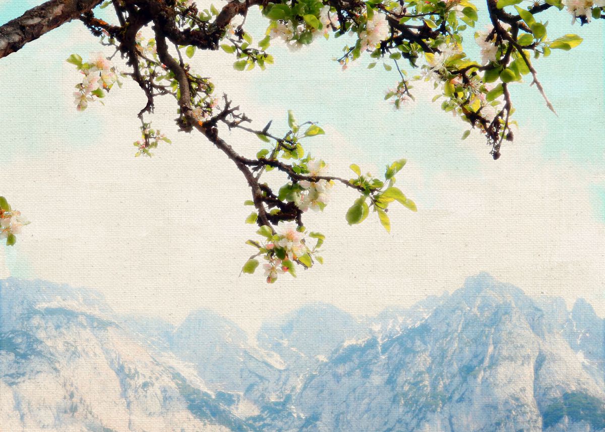 'Apple Blossoms, Mountains' Poster by Brooke T Ryan | Displate