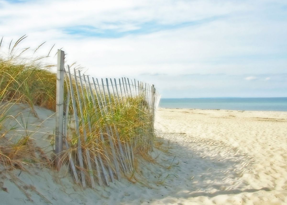 'Sandy Neck Beach, Cape Cod, Massachusetts' Poster by Brooke T Ryan | Displate