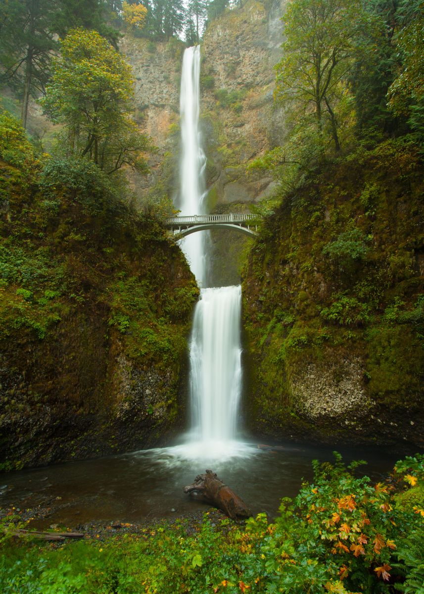 'Multnomah Falls' Poster, picture, metal print, paint by Brandt | Displate