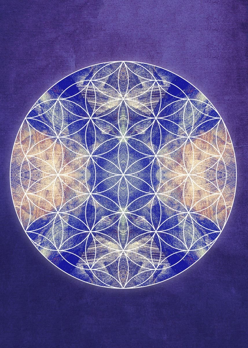 'flower Of Life Blue' Poster, Picture, Metal Print, Paint By Filippo B 