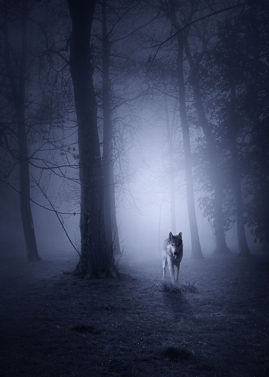 Scary Wolves Hunting 'Hunting Wolf' Poster by Svetlana Sewell | Displate