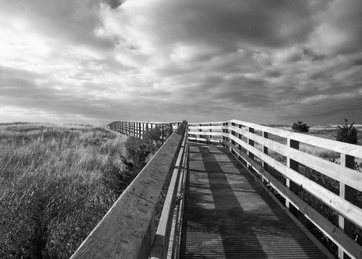 'Black and White Boardwalk at South Cape Beach' Poster by Brooke T Ryan ...