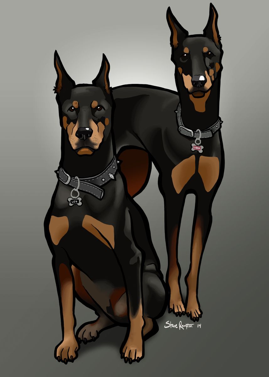 Patreon doberman