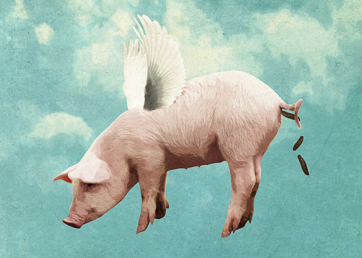 Летающие свинки картинки. Летающий поросёнок. Свинья с крыльями. Летающий кабанчик. Летучая свинья.