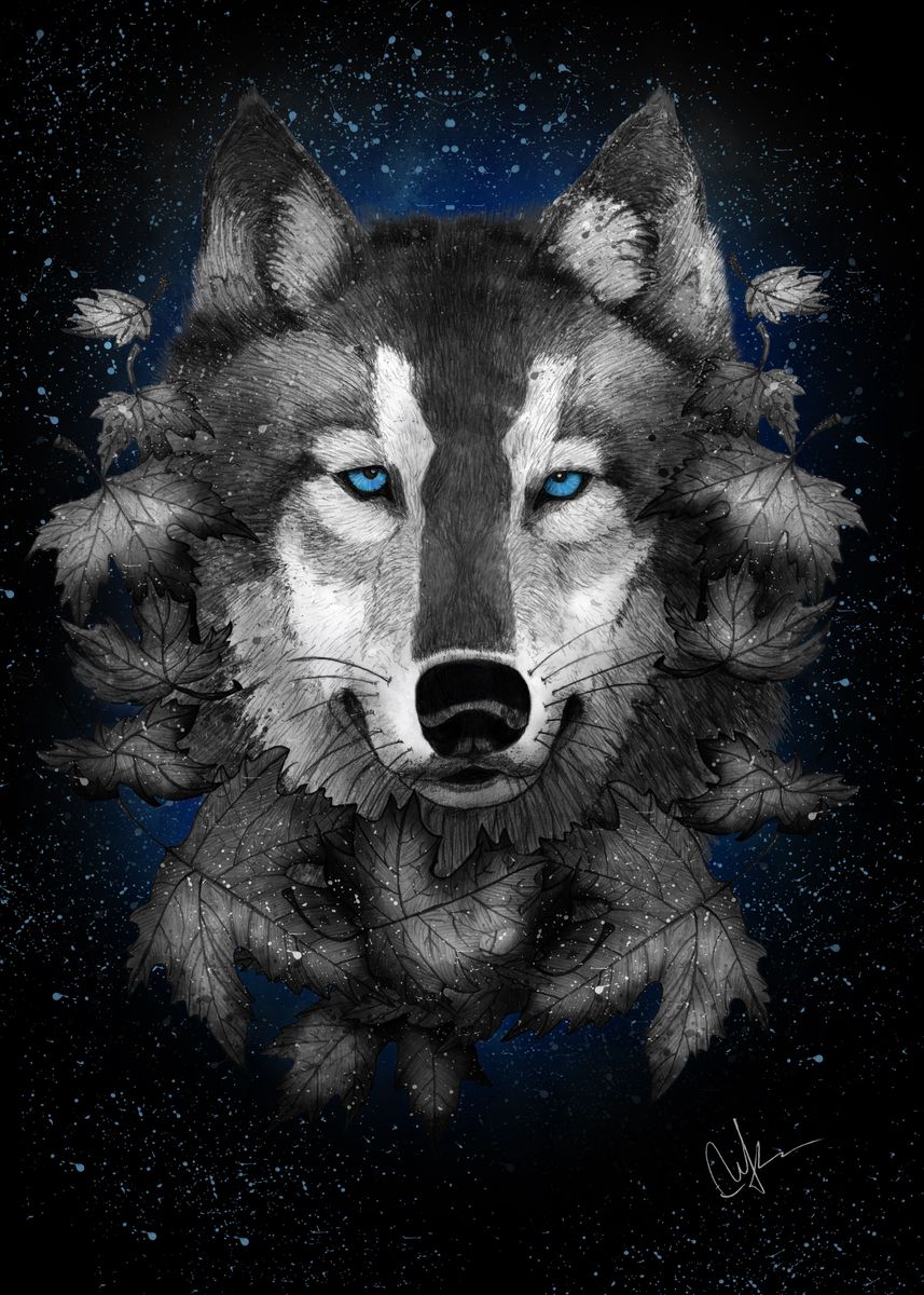 Постер с волком. Волки Найт Вульф. Ночные волки. Постер волки. Арт деко волк.
