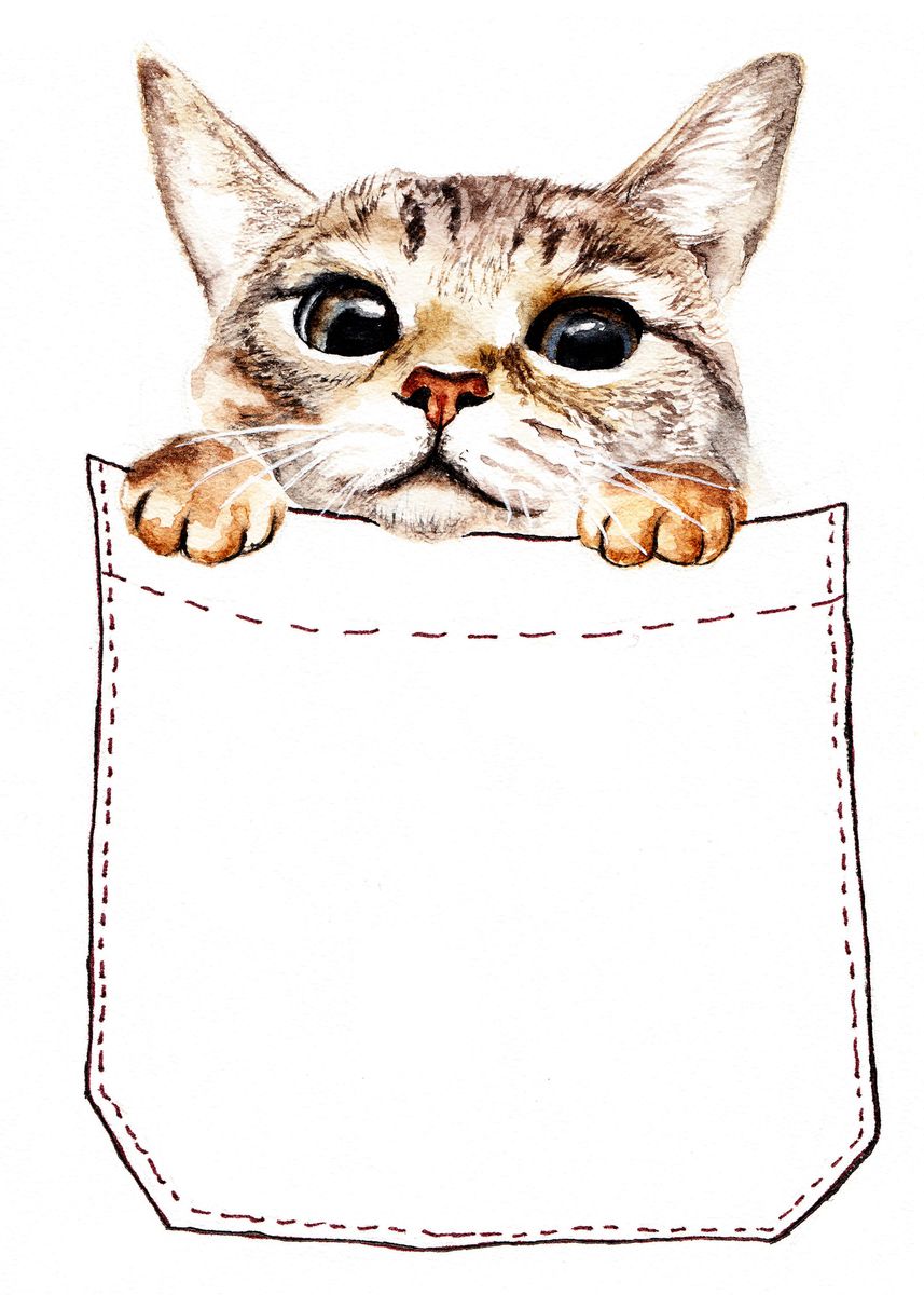 Покет кэт. Кот в кармашке. Карман для котов. Кошка в кармане. Котик в кармашке рисунок.