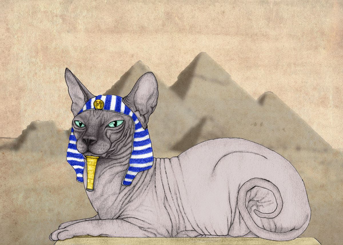 Египетская кошка цензуры
