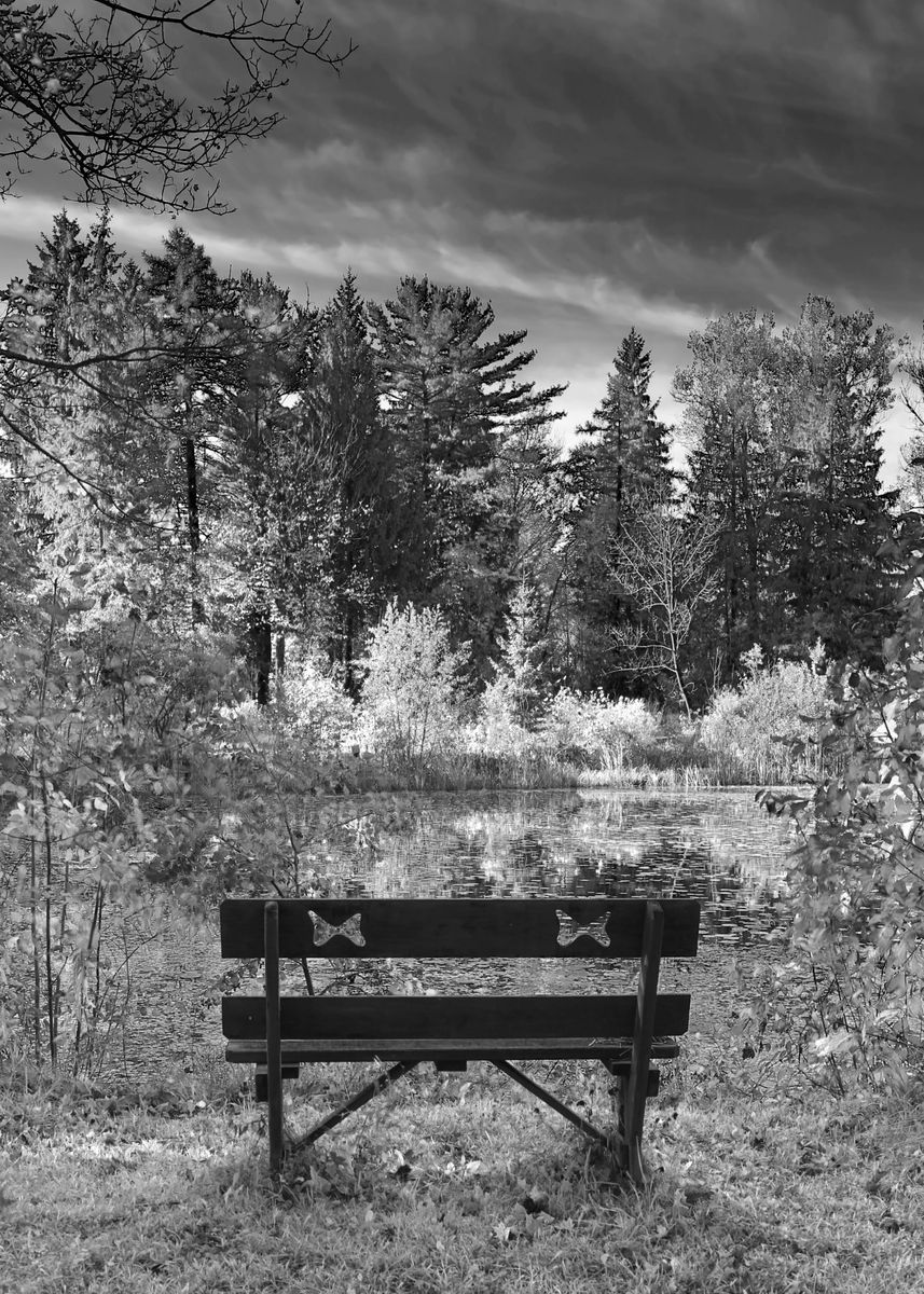 'Bench Overlooking Pond and Trees - Landscape in Infrare ... ' Poster by Brooke T Ryan | Displate