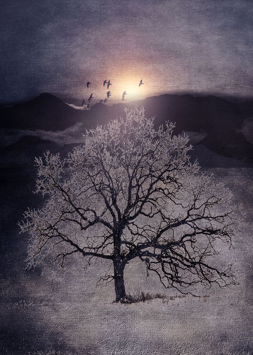 'Lone tree' Poster by Viviana Gonzalez | Displate