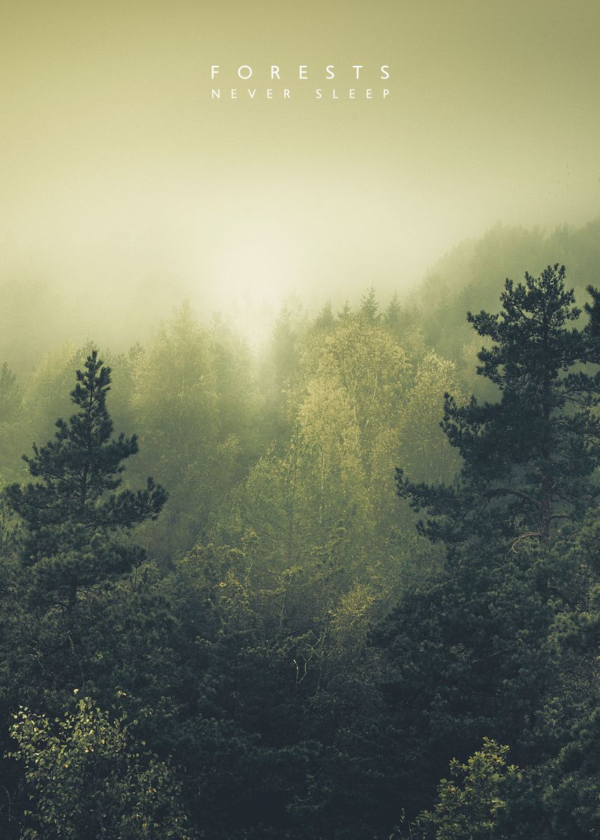 'Forests never sleep' Poster by Ulf Härstedt | Displate