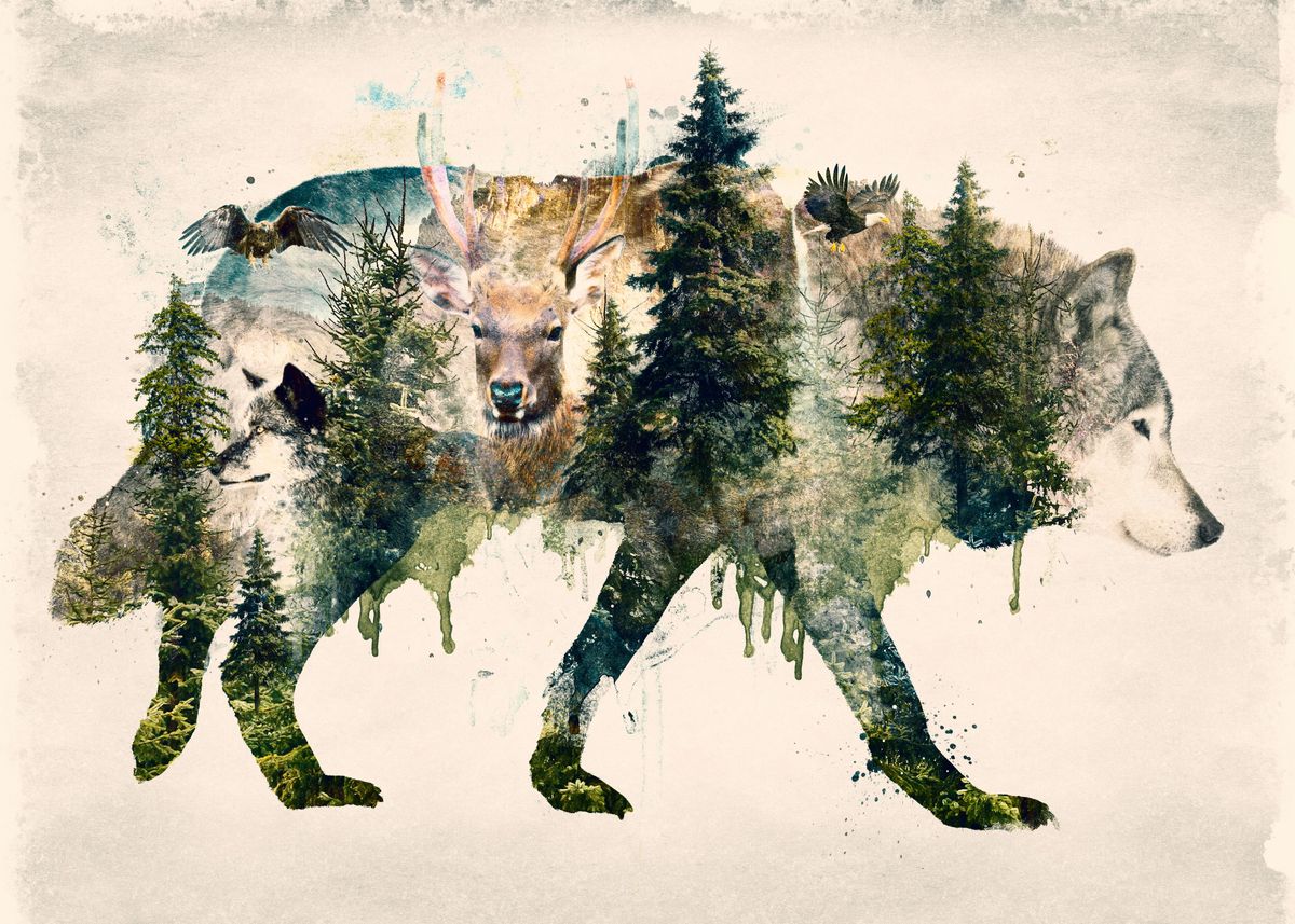 Волк в лесу акварель