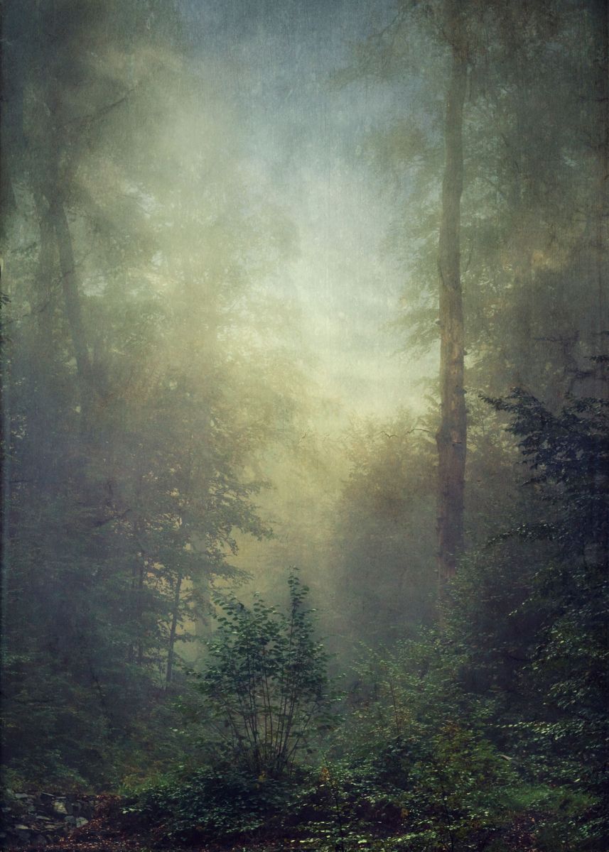 'Misty fall morning in a small forest valley' Poster by Dirk ...