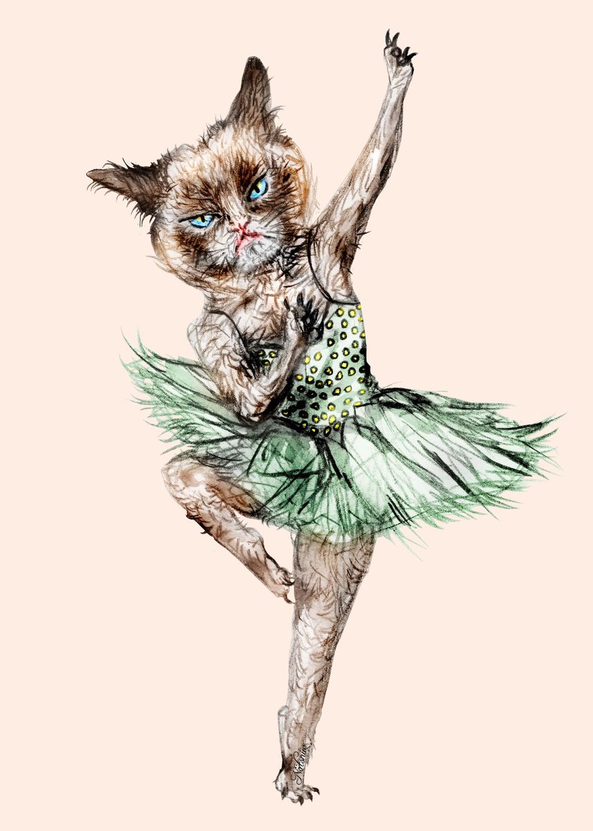 Ballet cat. Балет кошки. Кошка балерина. Котики в балете. Кот в балетной пачке.