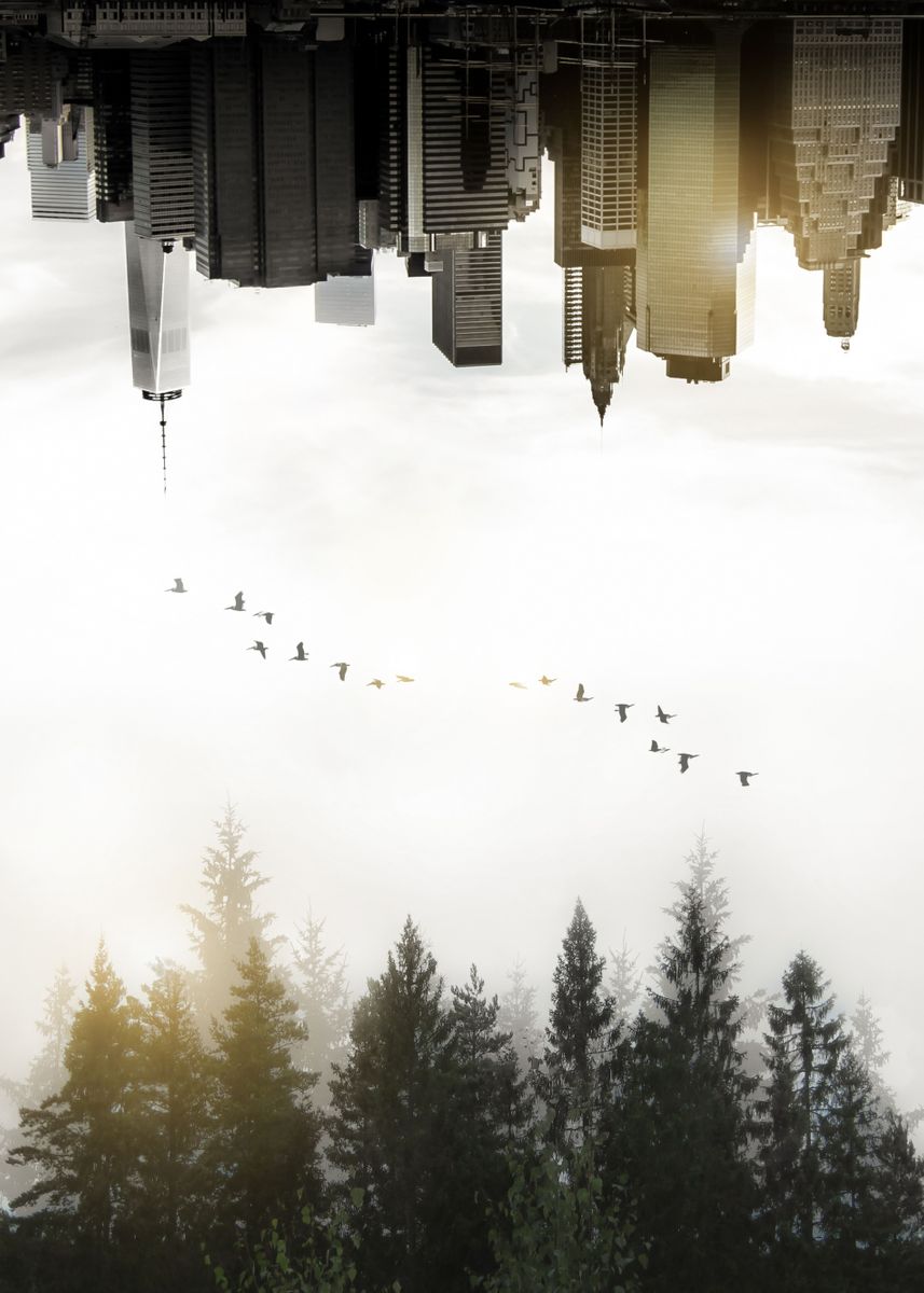 'Duality. A double exposure image of foggy Swedish fore ... ' Poster by Nicklas Gustafsson | Displate